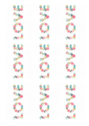 304104.9-6x8 Papel de azúcar Estampado