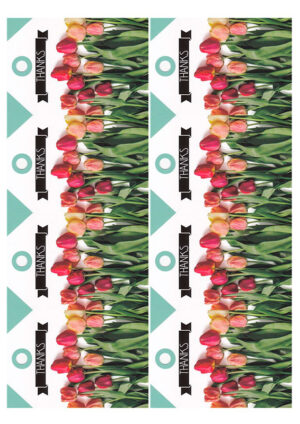 304113.8-6.6x9 Papel de azúcar Estampado