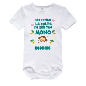 DISEÑO MONITO